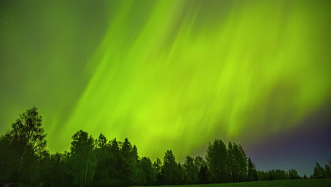 A-forest-is-illuminated-by-the-green-northern-lights-dancing-in-the-sky