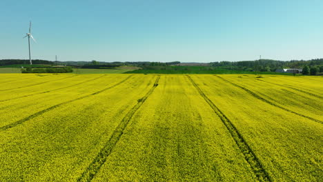 Nahaufnahme-Eines-Großen-Feldes-Mit-Gelb-Blühenden-Pflanzen,-Im-Hintergrund-Eine-Windturbine