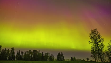 A-colorful-spectacle-in-the-sky-over-a-forest-during-the-Northern-Lights