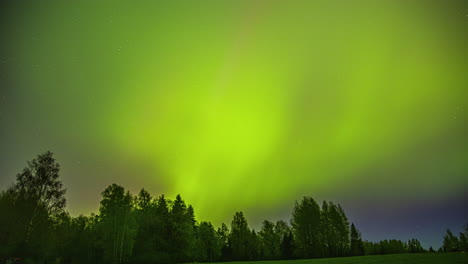 The-Northern-Lights-color-the-sky-green-and-purple-above-a-forest