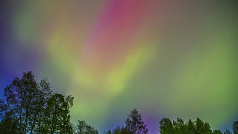 The-beautiful-color-palette-of-the-Northern-Lights-in-the-sky-over-a-forest