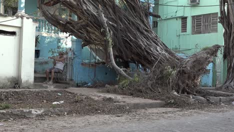An-old-man-sitting-under-the-fallen-tree,-few-days-after-cyclone-Irma-hit-Havana,-Cuba