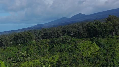 Telephoto-panoramic-aerial-of-tropical-cliffside-and-sloping-hills-on-the-north-shore-of-Maui