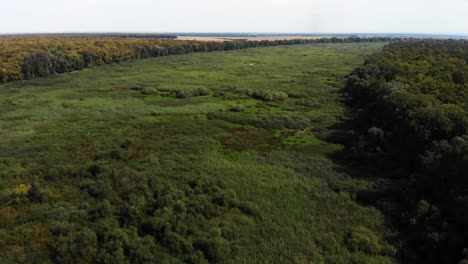 Аerial-drone-shot-of-fields,-flying-along-meadow