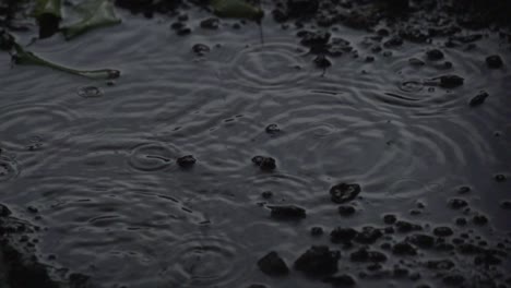 Lluvia-De-Primavera-En-Tierras-De-Cultivo