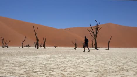 Man-walks-alone-in-Deadvlei,-namibia.-Sossusvlei.-Namibia