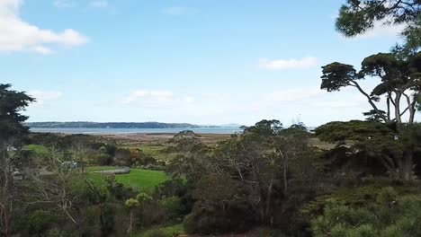 aerial-drone-shot,-rising-slowwith-trees-and-land-in-the-foreground-and-sea-view-as-background-in-Auckland,-New-Zealand