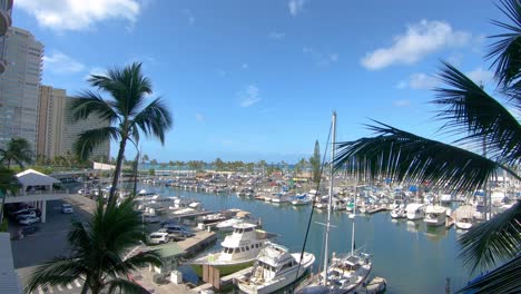 Vista-Desde-El-Balcón-De-La-Palmera-Y-El-Puerto-De-Barcos-Ala-Wai-En-Honolulu,-Hawaii