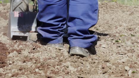 Farmer-man-driving-small-hand-tractor-in-the-spring-for-soil-cultivation-to-prepare-soil-for-gardening