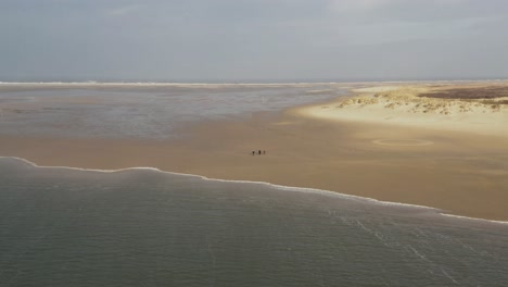 Dramatic-drone-aerial-shot-of-a-couple-of-people-walking-on-an-empty-beach-on-frisian-island-Borkum-next-to-dunes-and-wadden-sea-of-the-north-sea