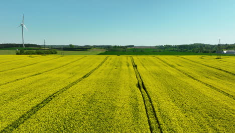 yellow-crop-fields-with-visible-tracks-in-the-field,-and-a-wind-turbine-in-the-distance
