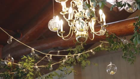 Aesthetic-lightbulbs-hang-from-ceiling