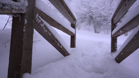 Dolly-pan-shot-in-wonderful-Winter-East-Canadian-Mountain