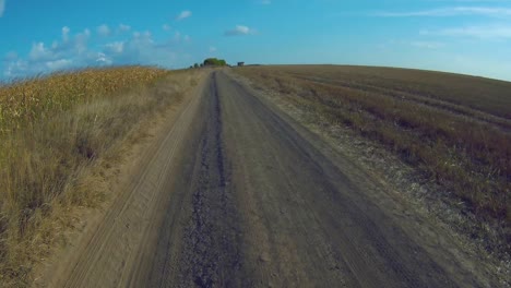 The-car-is-moving-along-a-dirt-road-through-fields