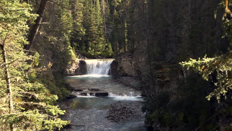 A-stream-in-the-middle-of-the-forest,-with-a-big-waterfall-dropping-in-the-back