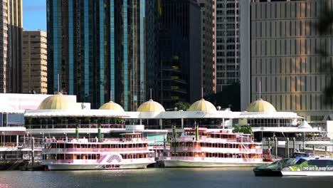 Iconic-shot-of-the-famous-River-Queen-paddle-steamers-moored-at-the-Riverside-precinct,-on-the-Brisbane-River-as-a-Citycat-cruises-by-in-the-foreground