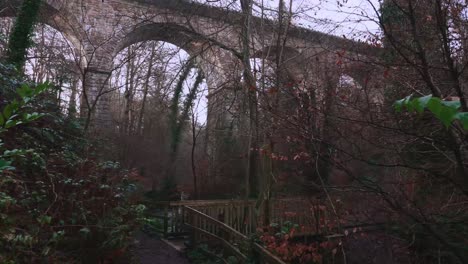 Forest-Path-Towards-Tall-Stone-Bridge
