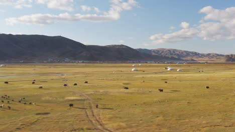 Nomadic-Mongolian-ger-tents-in-Bayan-Olgii,-Altai-mountains,-aerial-landscape