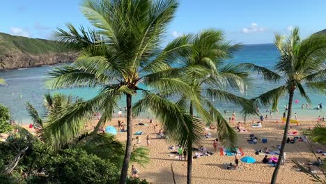 Ein-Tropischer-Strand-Voller-Touristen-Im-Hanauma-Bay-Nature-Preserve-In-Honolulu