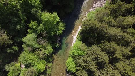 bird´s-eye-view-turning-droneshot-above-a-stream-in-a-forest