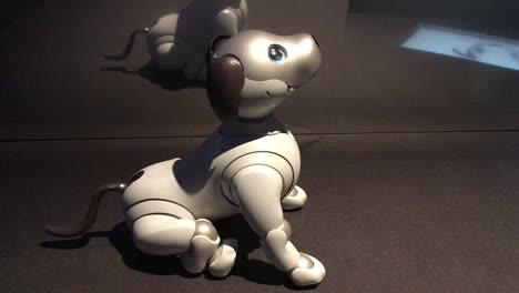Sony's-AIBO-Robot-Dog-at-the-'AI:-More-than-Human'-exhibition,-Barbican