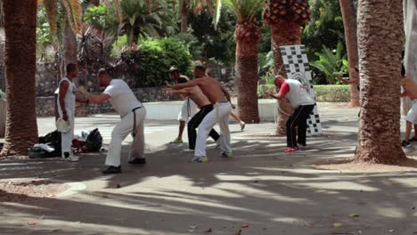 Capoeira-Schulgruppe-übt-Im-Park-In-Zeitlupe