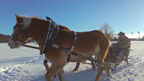 Jinetes-En-Trineo-Tirado-Por-Caballos-A-Través-Del-Campo-En-Un-Soleado-Día-De-Invierno