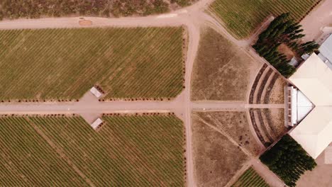 Aerial-vertical-drone-shot-of-Salentein-vineyard-and-its-structure