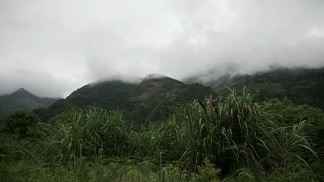 Chinesische-Frau-Zu-Fuß-Durch-Die-Berge