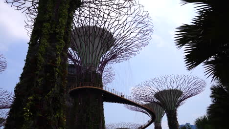 Esto-Filmado-En-Gardens-By-The-Bay,-Singapur.