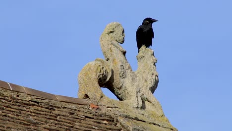 A-black-crow-resting-on-the-roof-of-Oakham-castle-in-the-town-of-Oakham-in-Rutland,-UK,-on-a-windy-day