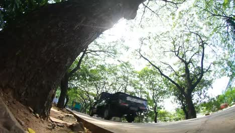hyperlapse-road-traffic-under-daytime-trees