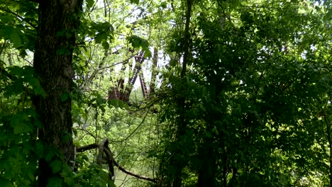 Railroad-trestle-over-river-viewed-through-thick-vegetation