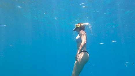 Mujer-Buceando-Lentamente-Hacia-Arriba-En-La-Gran-Barrera-De-Coral