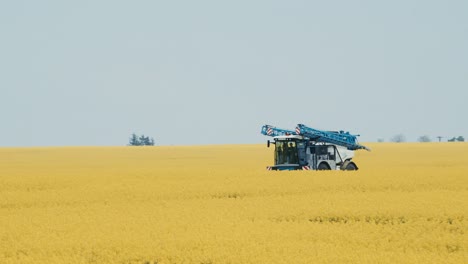 agricultural-machine-for-pest-control-at-work-in-a-field-of-rapeseed