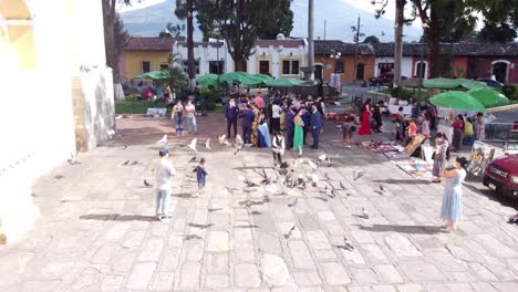 Pigeons-flying-in-a-park-with-a-little-girl-running