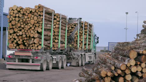 Cargo-truck-full-of-timber-logs,-daytime,-handheld