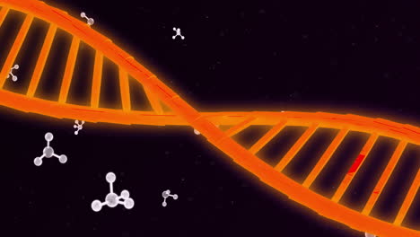 Animation-of-dna-strand-over-molecues