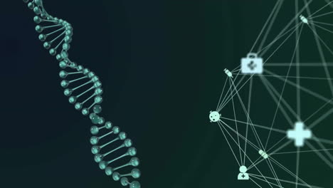 Animation-Eines-Netzwerks-Von-Verbindungen-Mit-Symbolen-über-Einem-DNA-Strang