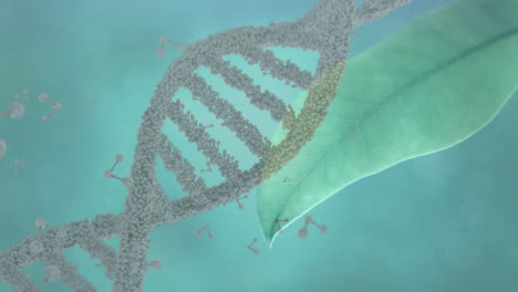 Animation-of-dna-strand,-connections-and-data-processing-over-leaf-and-blue-clouds