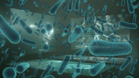 Animation-of-bacteria-cells-over-science-data-processing