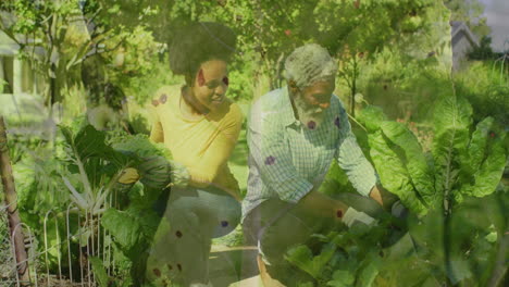 Animation-of-leaves-over-african-american-couple-working-in-garden