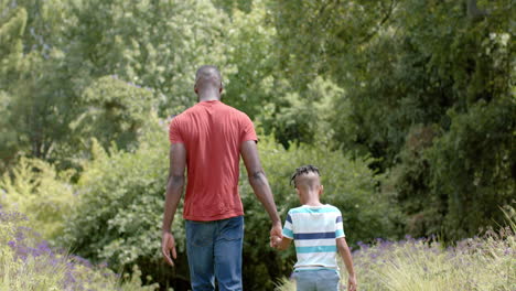 Padre-E-Hijo-Afroamericanos-Caminan-De-La-Mano-Por-Un-Exuberante-Parque-En-Casa