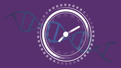 Animation-of-clock-over-dna-strand-on-purple-background