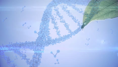 Animation-Von-DNA-Strang,-Verbindungen-Und-Datenverarbeitung-über-Blättern-Und-Sonnigem-Blauen-Himmel