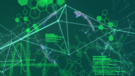 Animation-Des-Globus-Mit-Netzwerk-Von-Verbindungen-über-Die-Datenverarbeitung-Auf-Grünem-Hintergrund