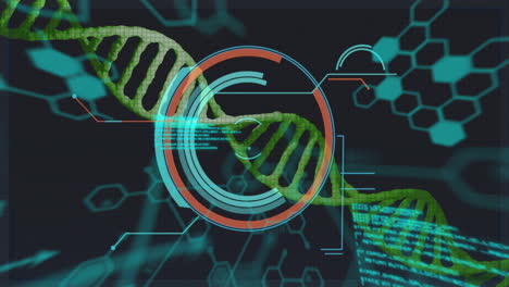 Animation-Eines-DNA-Strangs-Mit-Chemischer-Formel-Und-Datenverarbeitung-Auf-Schwarzem-Hintergrund