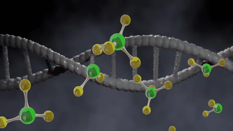 Animation-of-floating-molecules-over-dna-strand