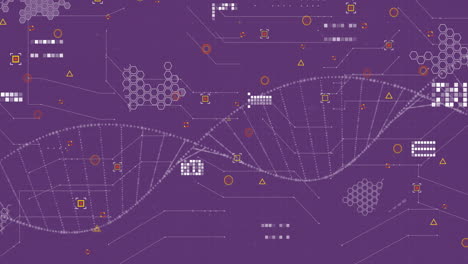 Animation-Der-Datenverarbeitung-über-Einem-DNA-Strang-Auf-Violettem-Hintergrund