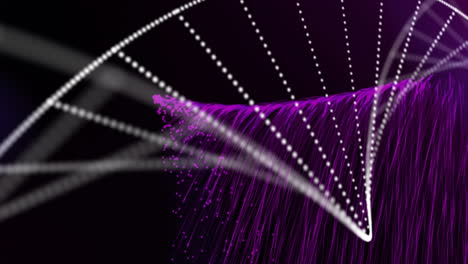 Animation-of-purple-spots-falling-and-dna-strand-on-black-background
